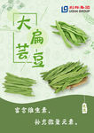 大扁芸豆