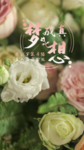 手机壁纸