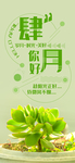 手机壁纸