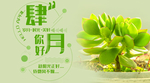 手机壁纸