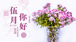 手机壁纸