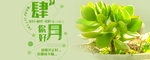 手机壁纸