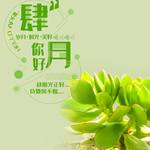 手机壁纸
