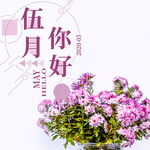 手机壁纸