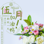 手机壁纸