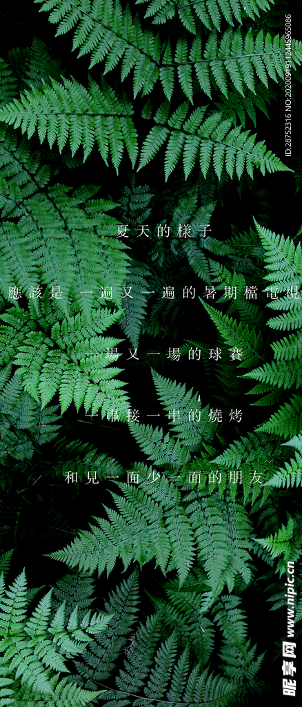 手机壁纸