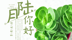 手机壁纸
