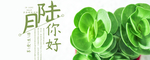 手机壁纸