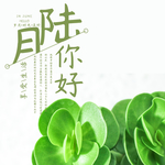 手机壁纸