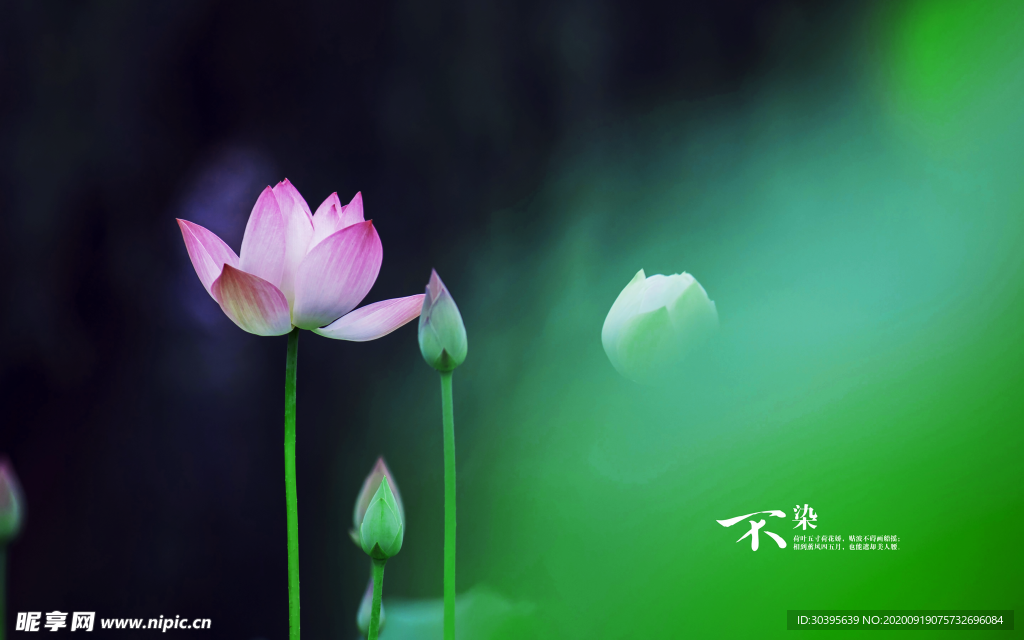 大自然风景