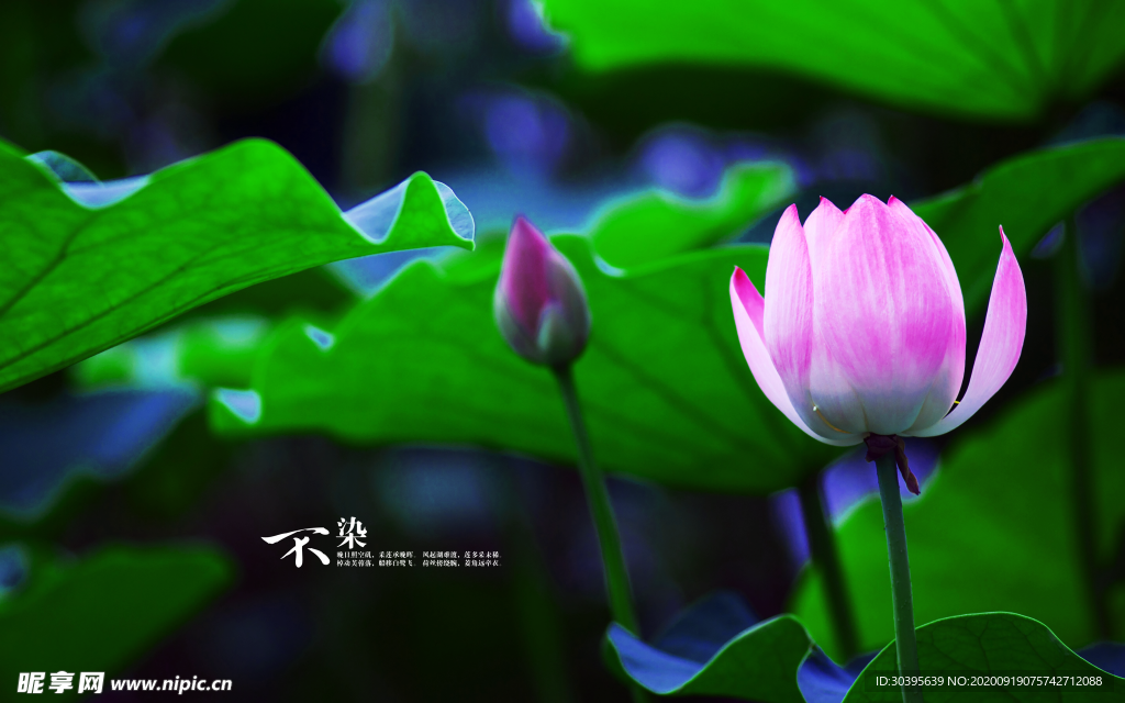 大自然风景