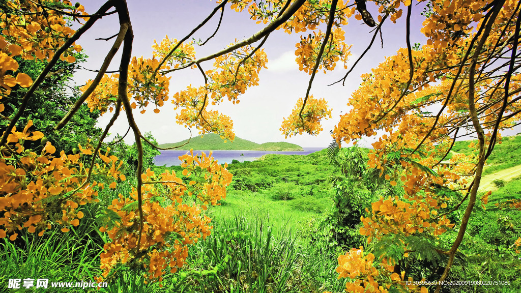 大自然风景