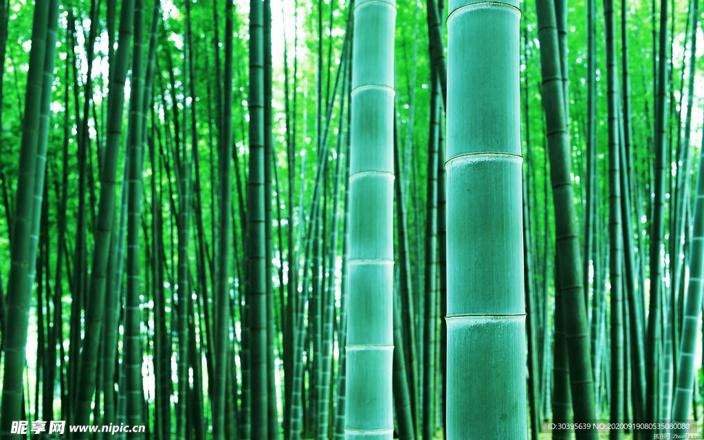 大自然风景