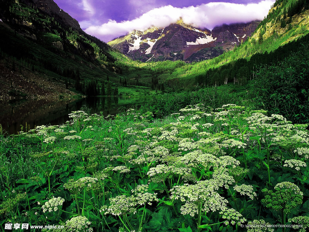 大自然风景