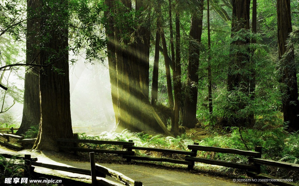 大自然风景