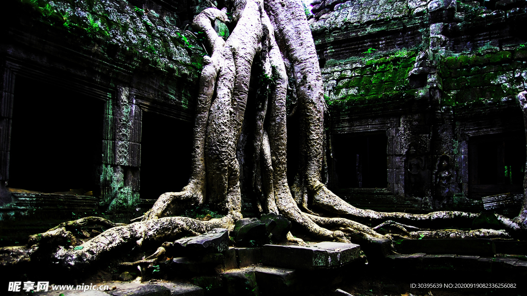 大自然风景