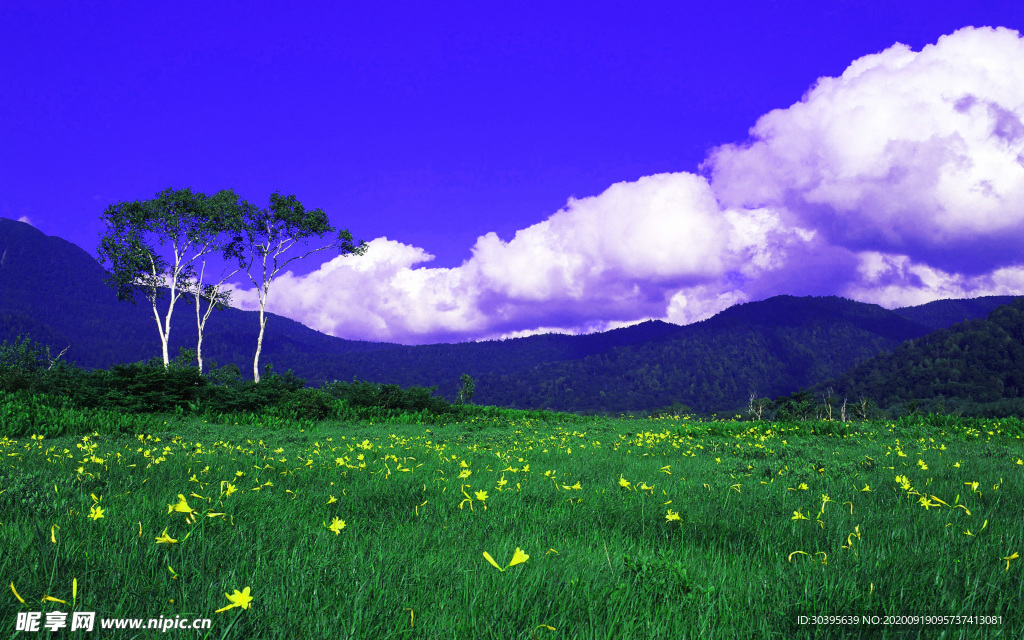 大自然风景