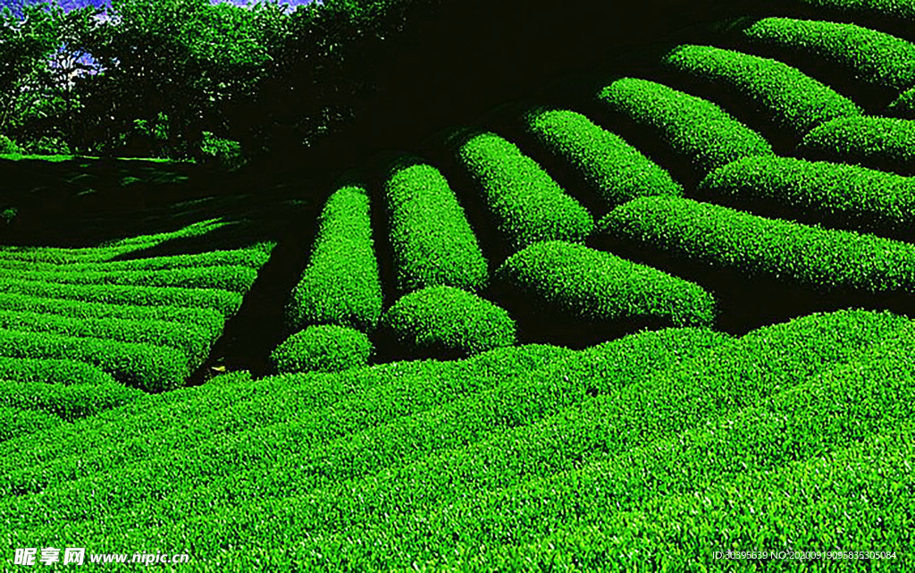 大自然风景