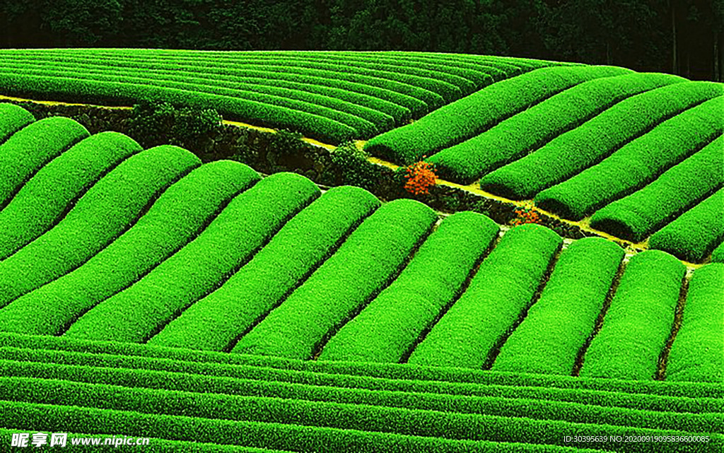 大自然风景