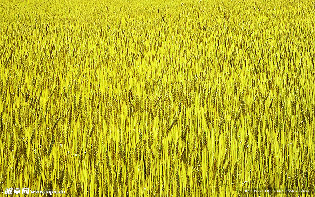 大自然风景