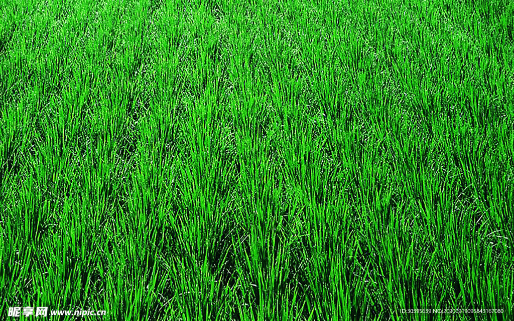 大自然风景