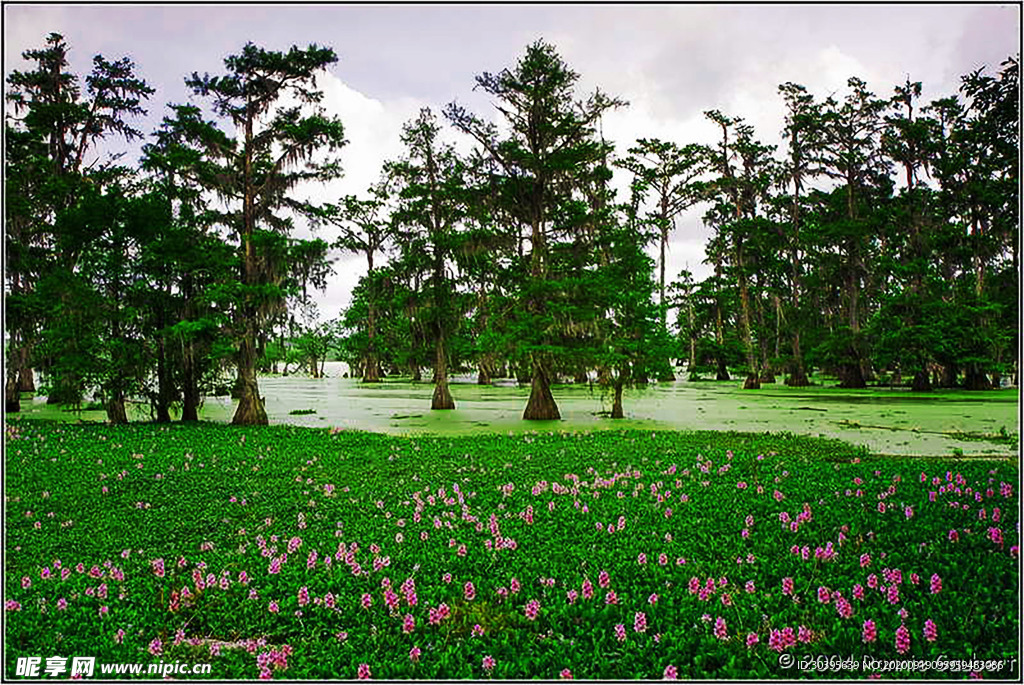 大自然风景