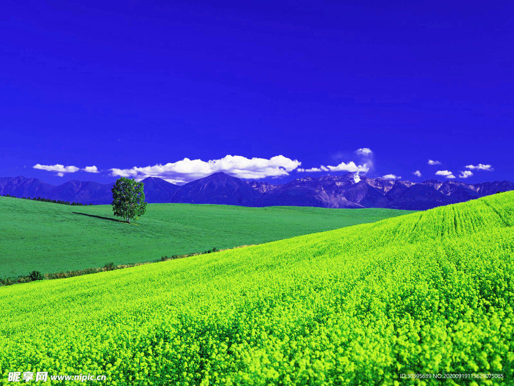 大自然风景