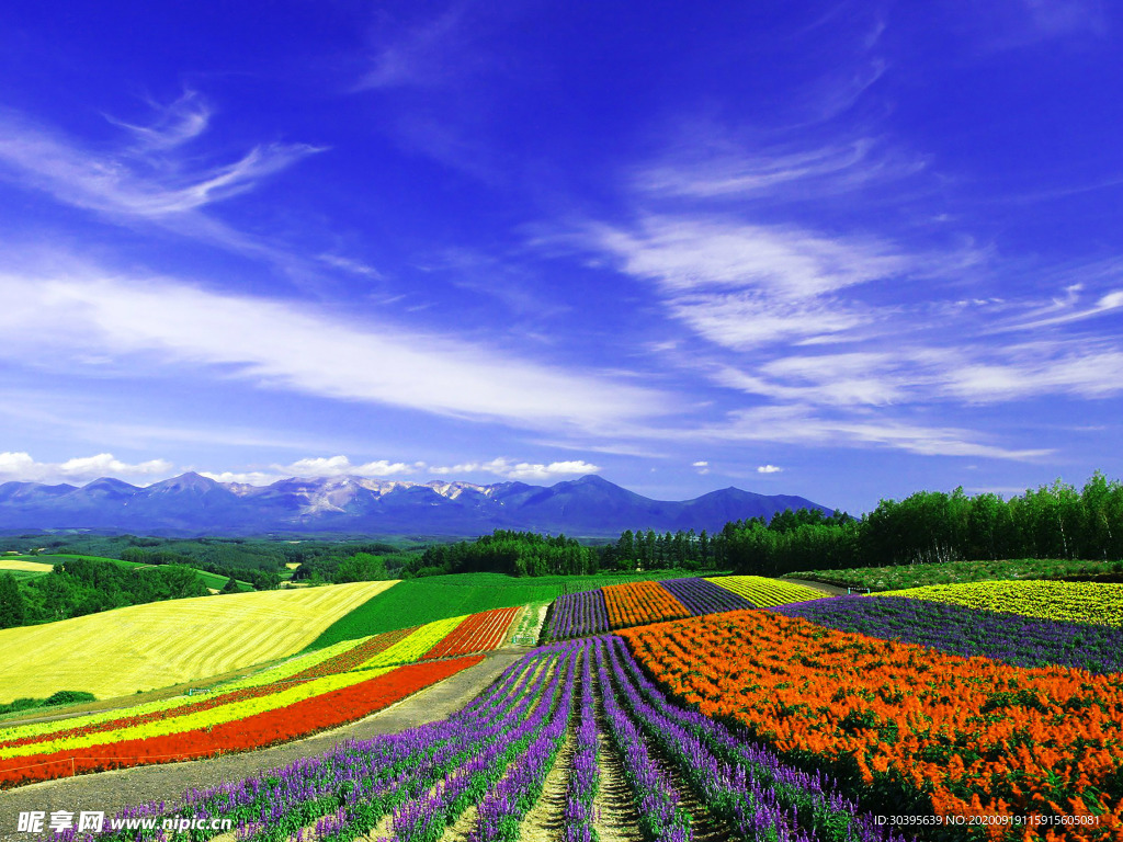 大自然风景