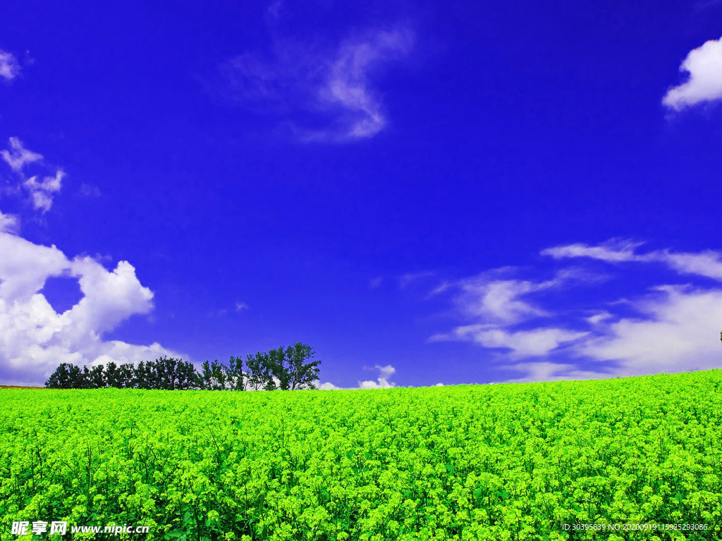 大自然风景