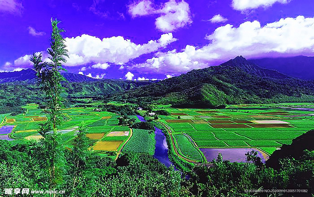 大自然风景