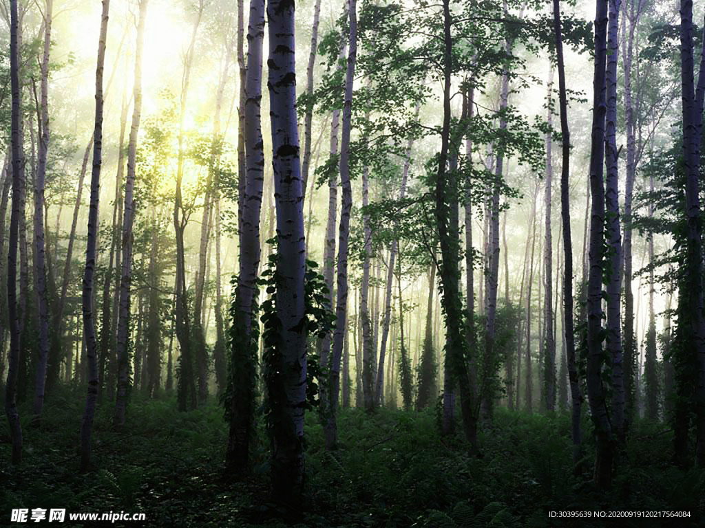 大自然风景