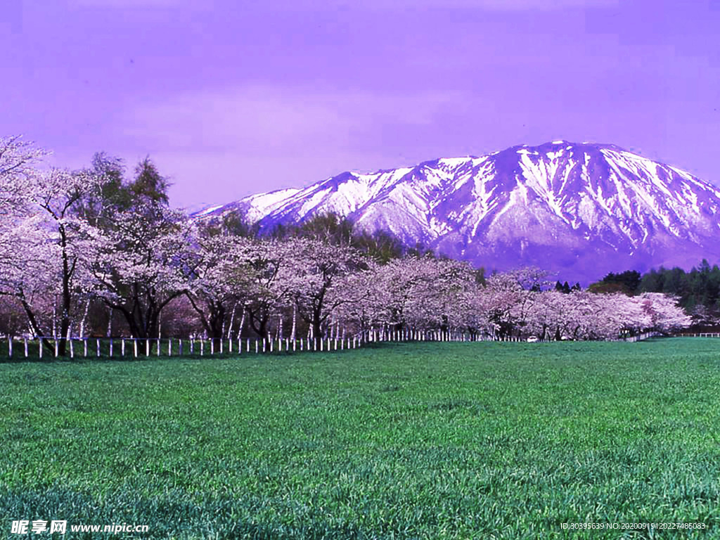 大自然风景
