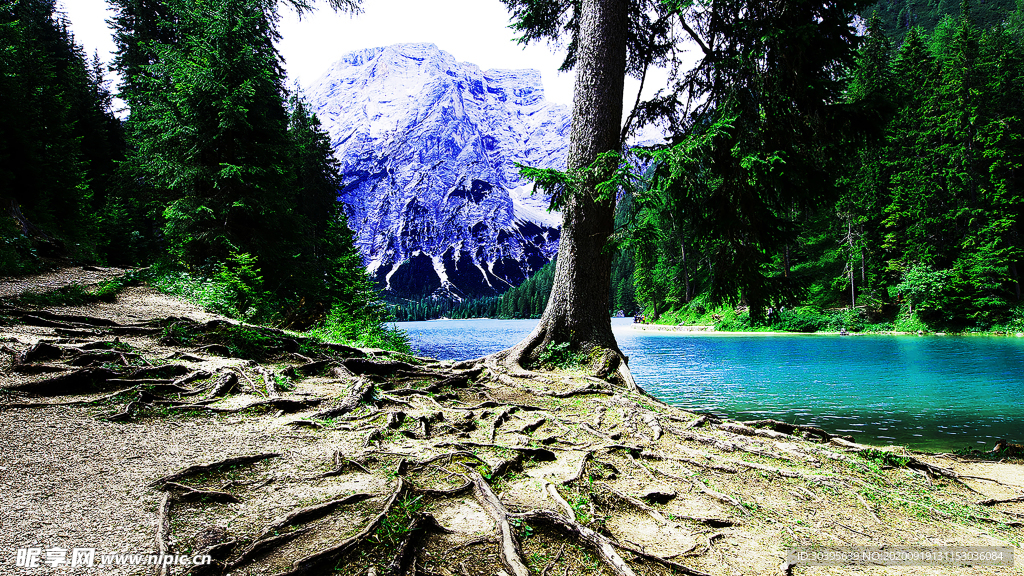 大自然风景