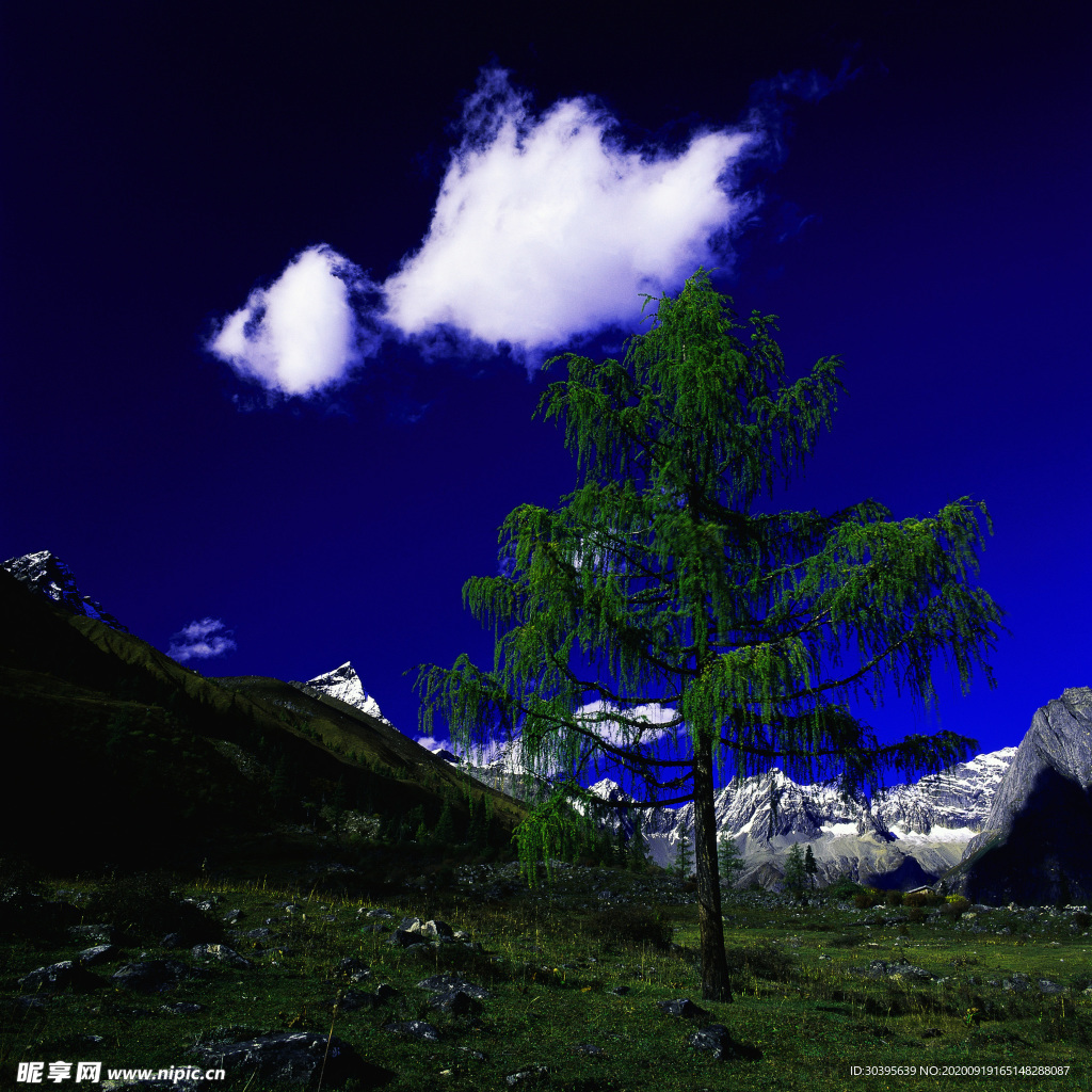 大自然风景
