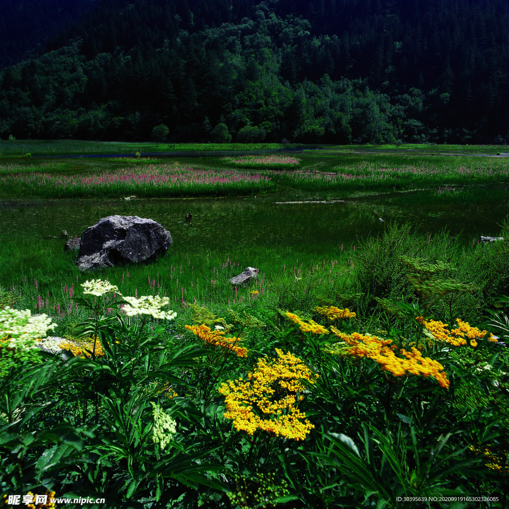 大自然风景