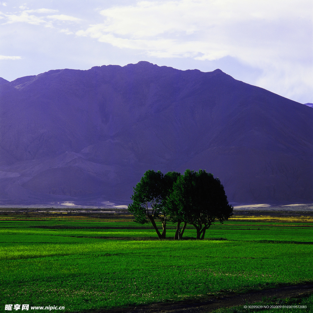 大自然风景