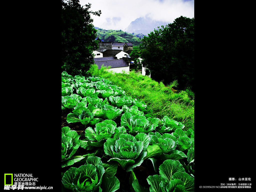 大自然风景