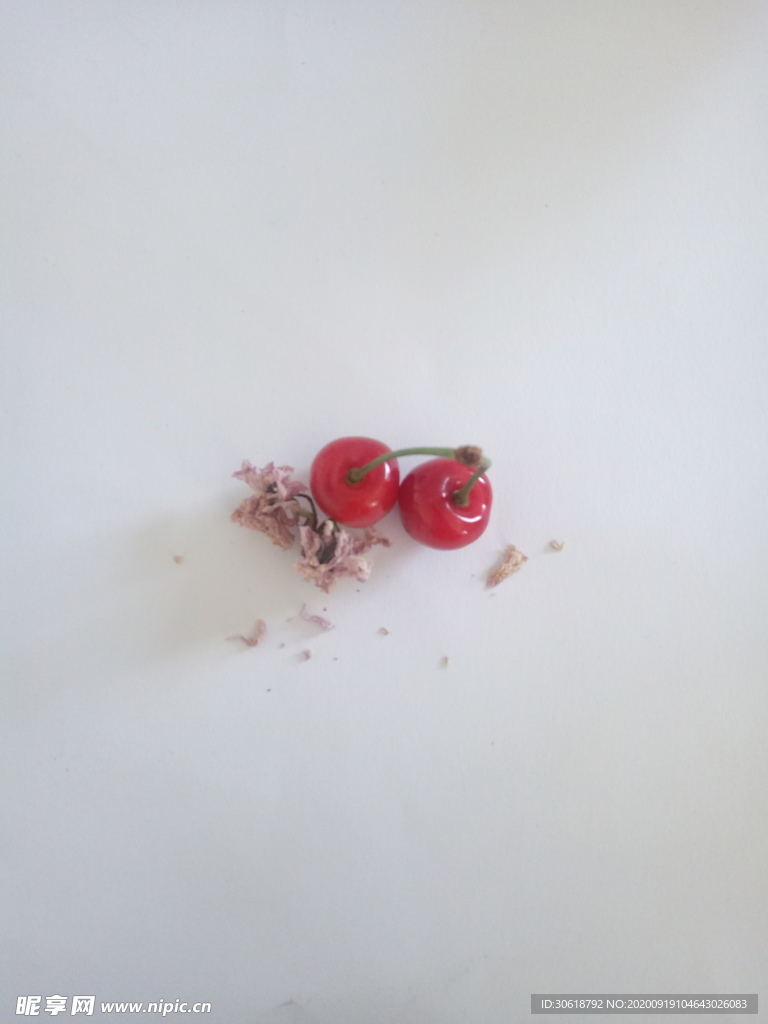 樱花与樱桃