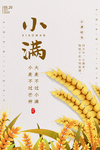 小满