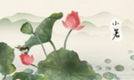 小暑
