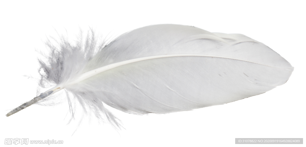白色羽毛漂浮素材