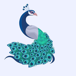 孔雀