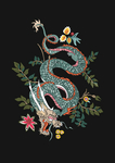龙