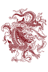 龙