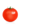 西红柿卡通绘图