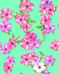 手绘花
