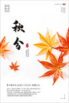 秋分