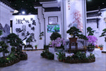 2019北京世界园艺博览会