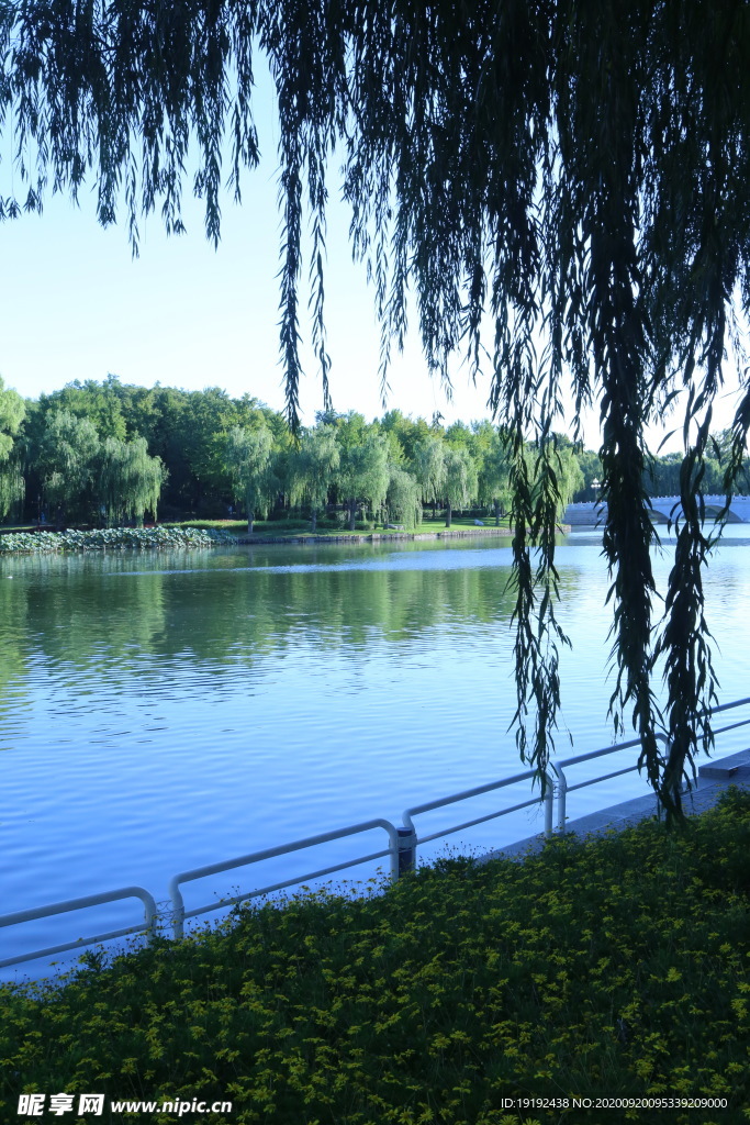 园林风景