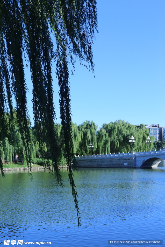 园林风景